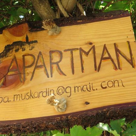 Apartman Biba 루베니체 외부 사진